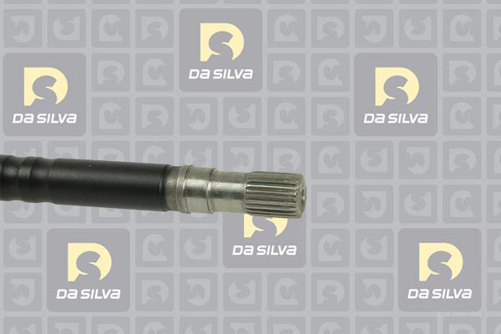 Cardã DA SILVA S.A.S. 151AT
