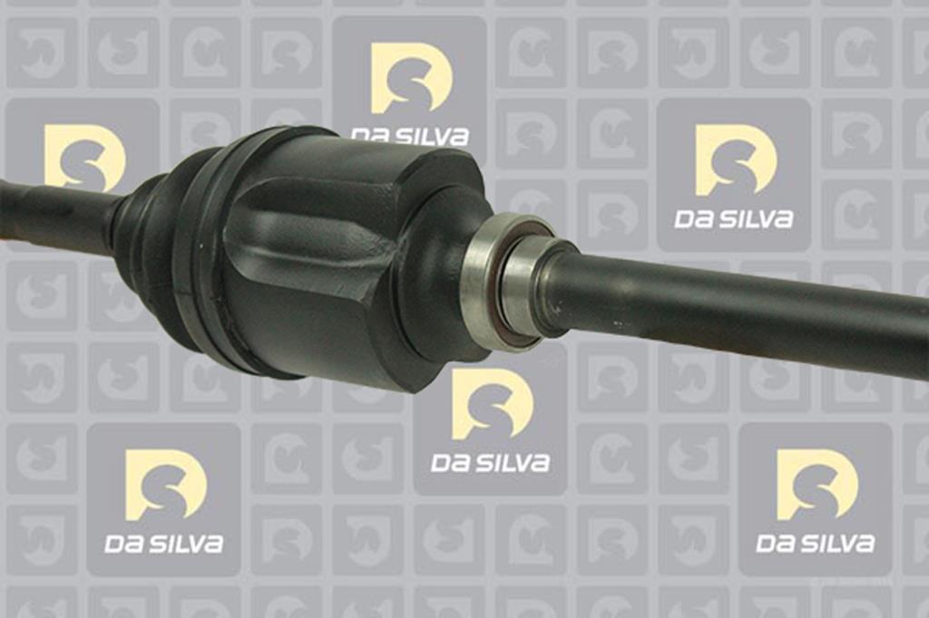 Cardã DA SILVA S.A.S. 151AT