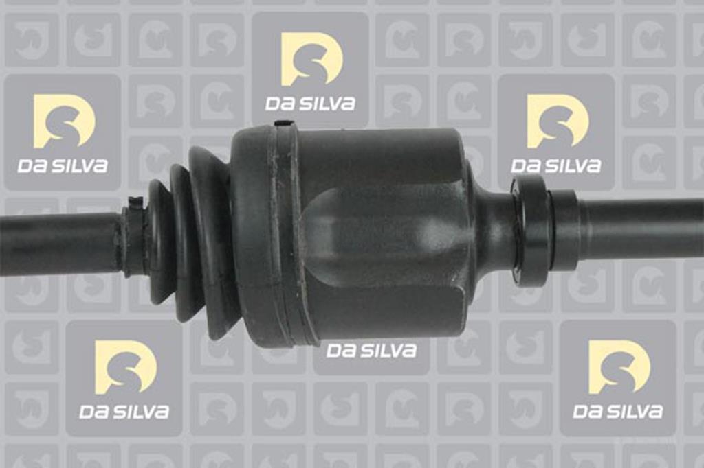 Cardã DA SILVA S.A.S. 157AT