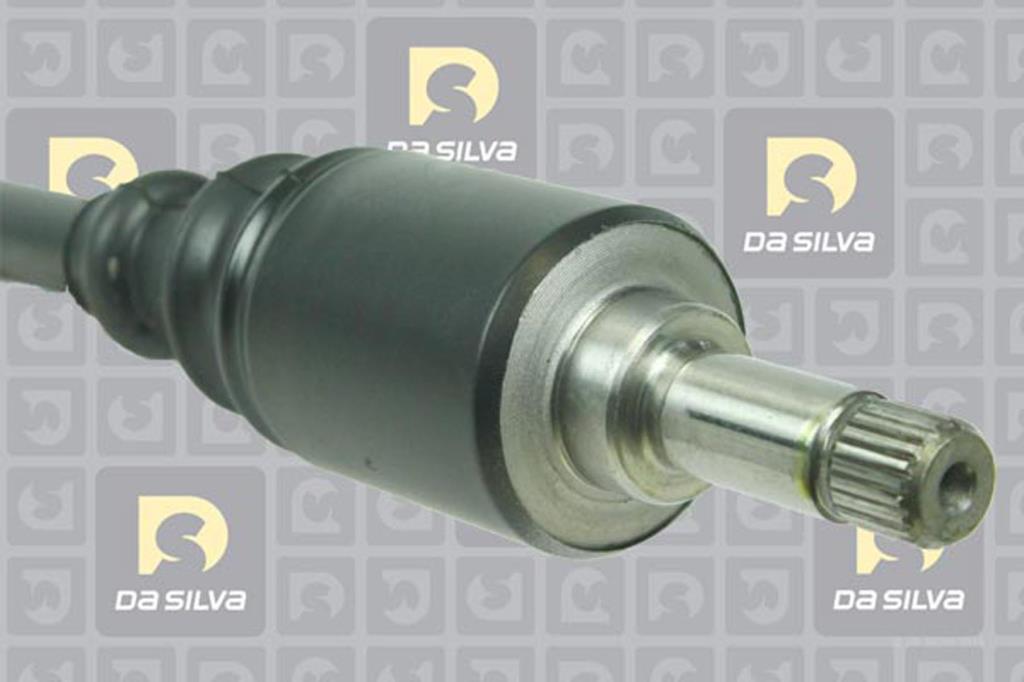 Cardã DA SILVA S.A.S. 174T