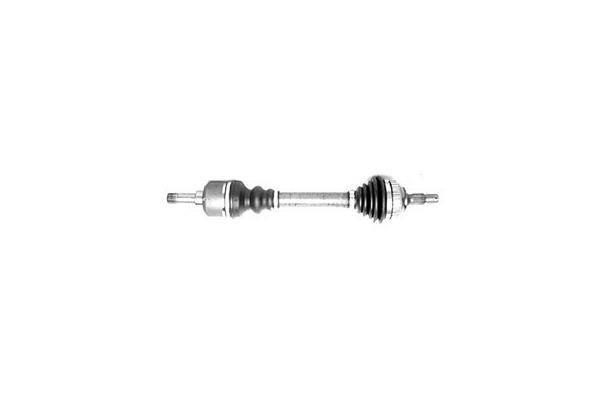 Butée hydraulique Coupé