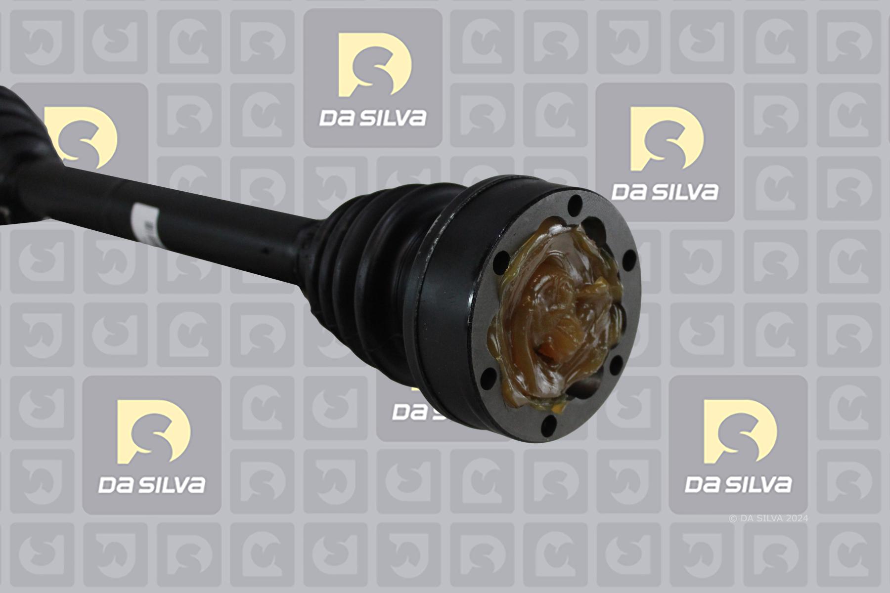 Cardán DA SILVA S.A.S. 2020AT