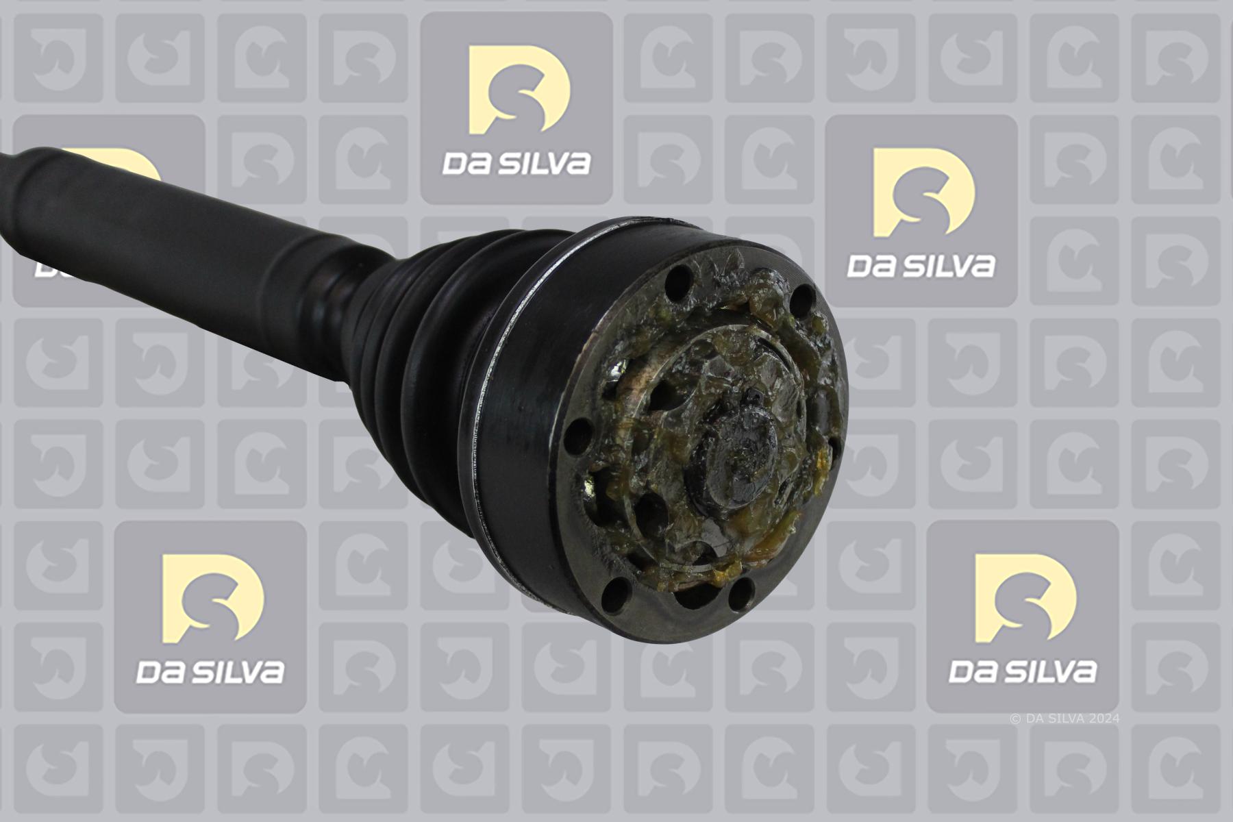 Cardan DA SILVA S.A.S. 2021AT