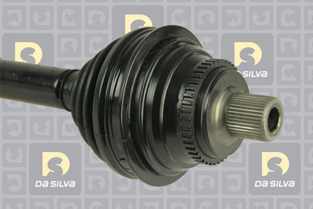 Cardan DA SILVA S.A.S. 2024AT