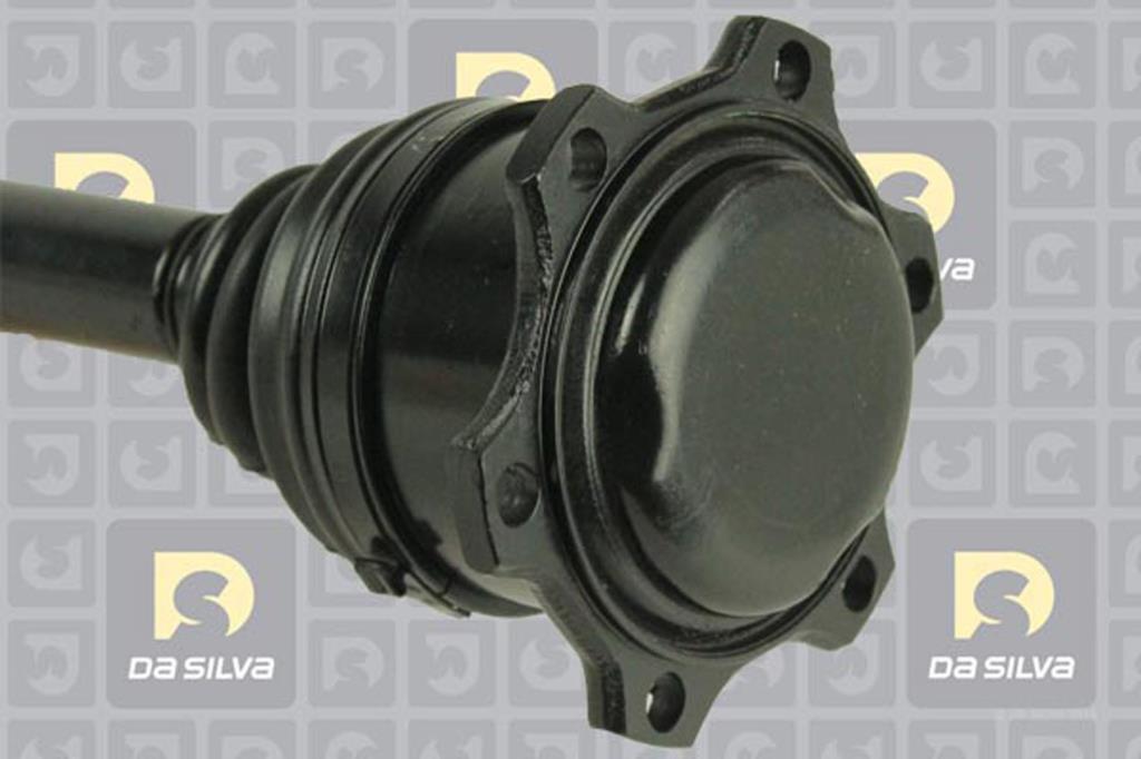 Cardan DA SILVA S.A.S. 2024AT