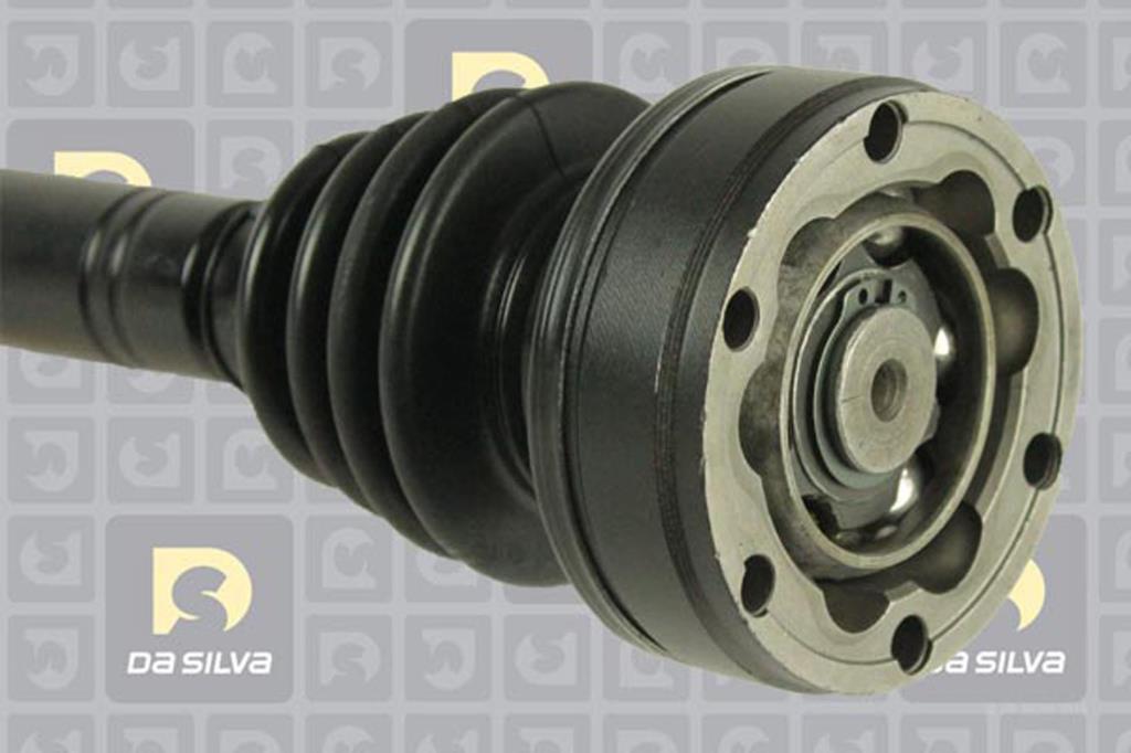 Cardã DA SILVA S.A.S. 2116T