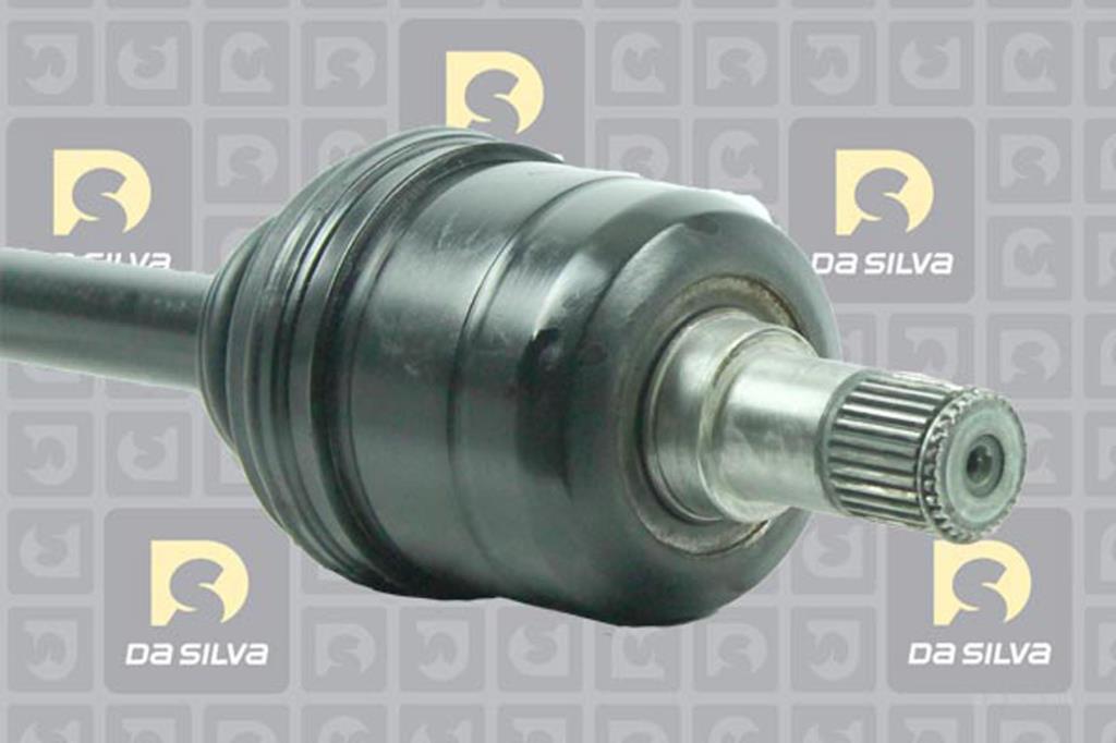 Cardã DA SILVA S.A.S. 311100AT
