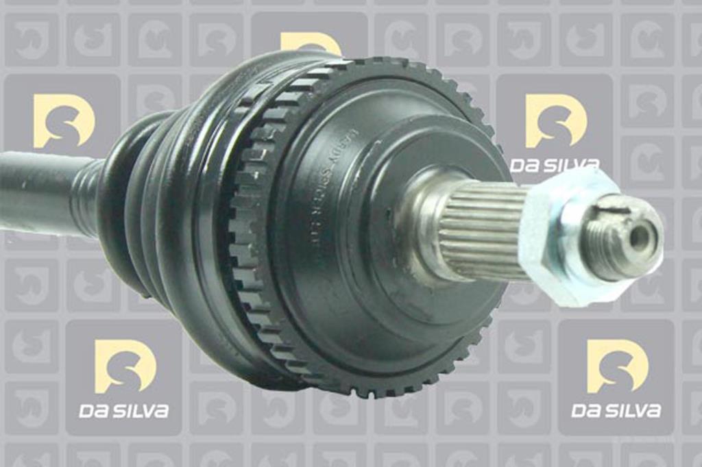 Cardã DA SILVA S.A.S. 311100AT