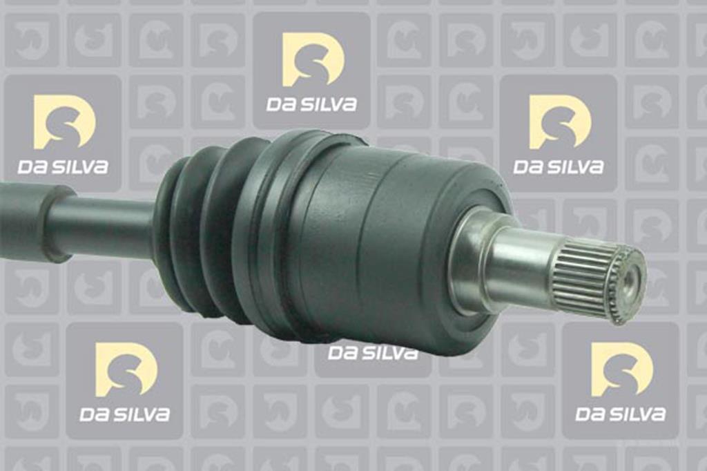 Cardã DA SILVA S.A.S. 311204T