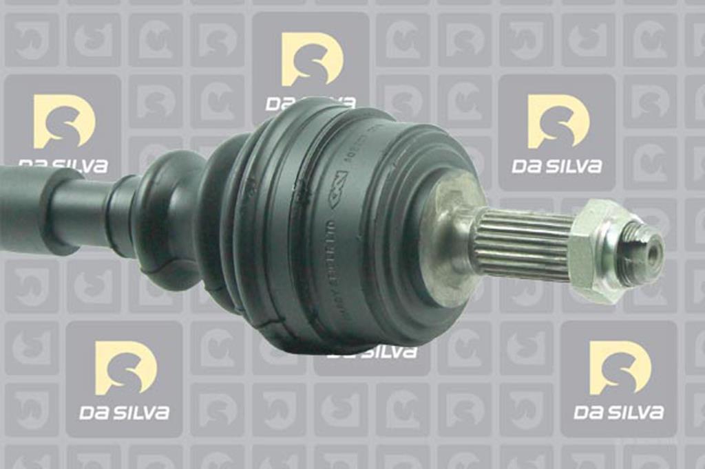 Cardã DA SILVA S.A.S. 311204T