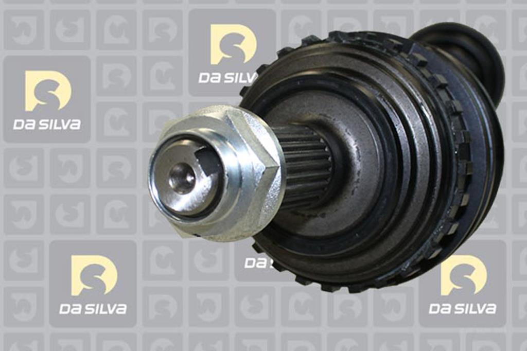 Cardan DA SILVA S.A.S. 311209AT