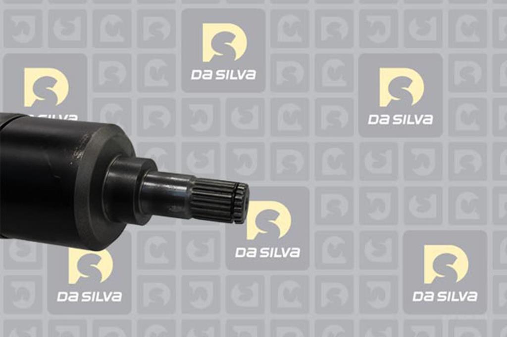 Cardan DA SILVA S.A.S. 311209AT