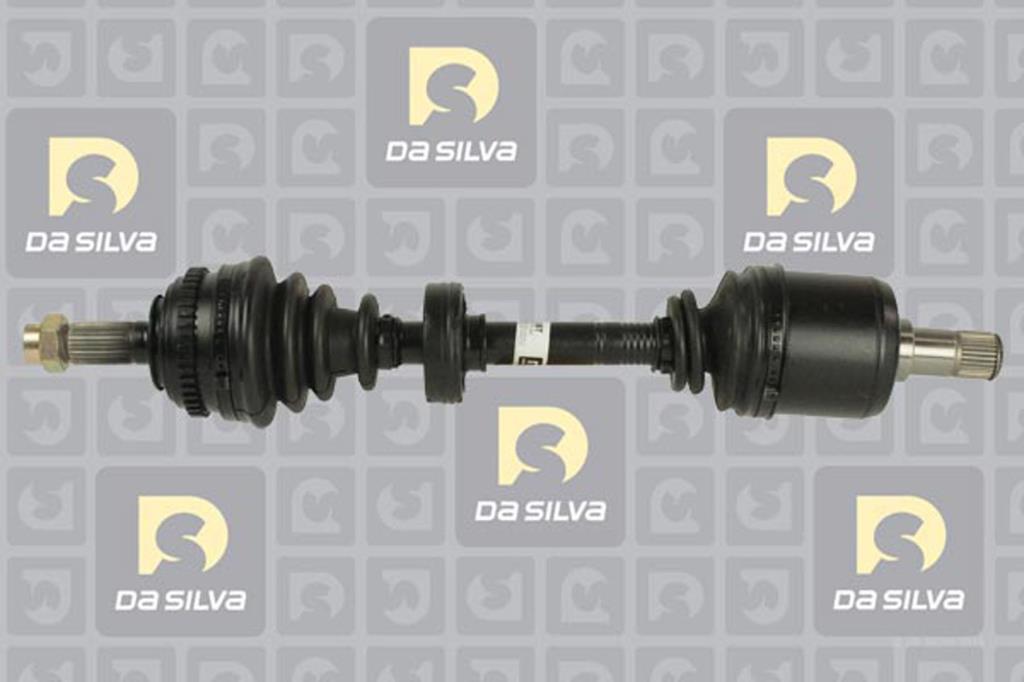 Cardã DA SILVA S.A.S. JC311222B