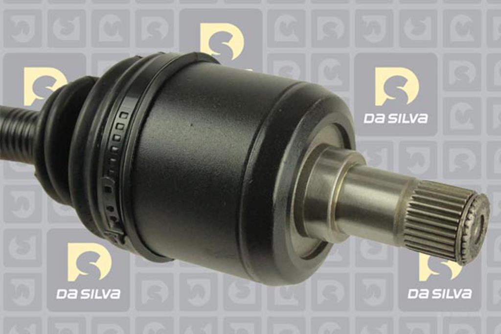 Cardã DA SILVA S.A.S. JC311222B