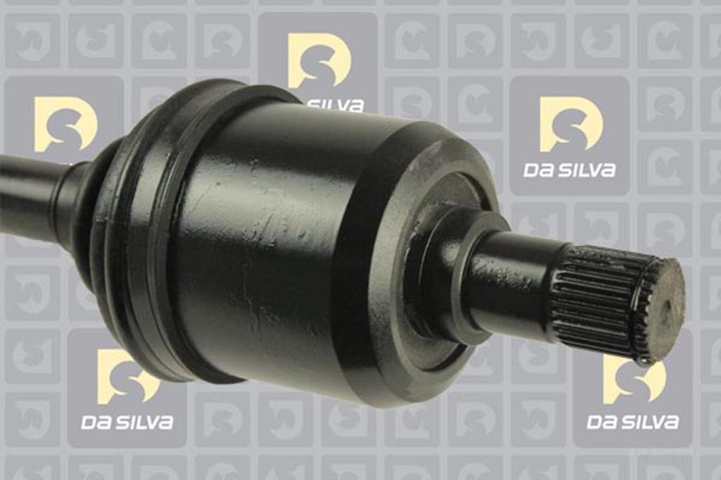 Cardã DA SILVA S.A.S. JC311223B