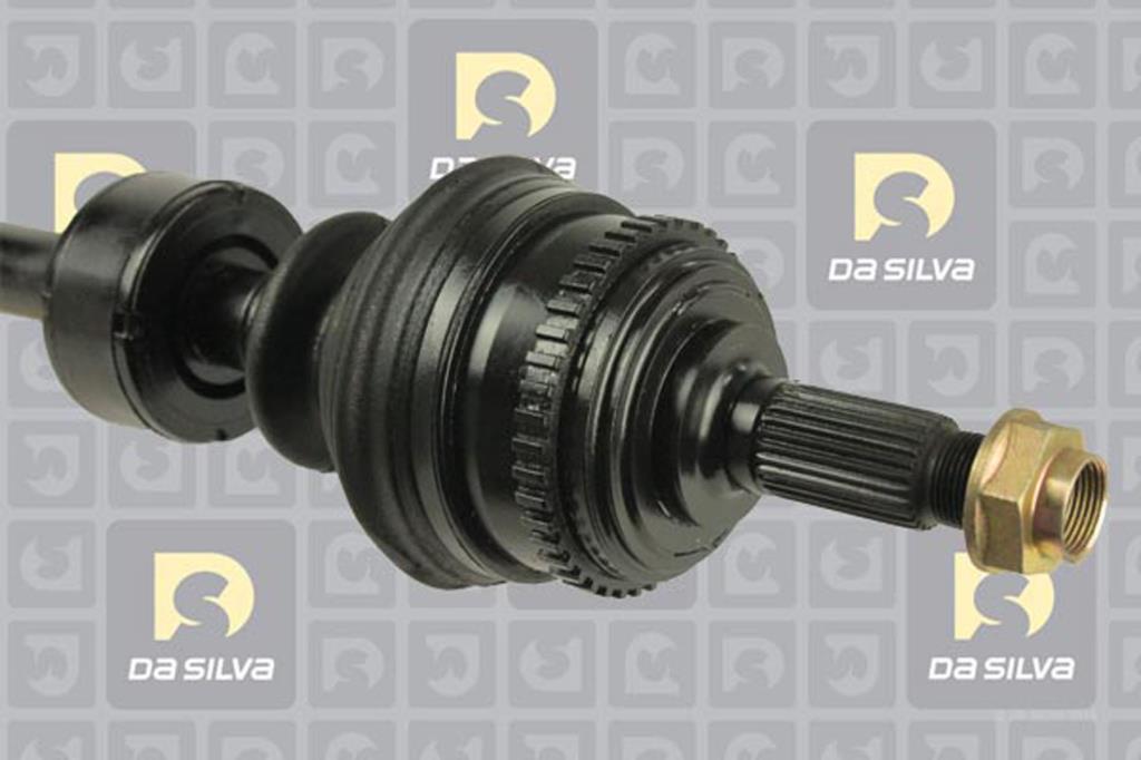 Cardã DA SILVA S.A.S. JC311223B