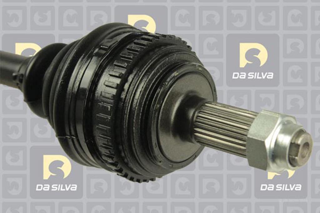 Cardan DA SILVA S.A.S. 311224AT