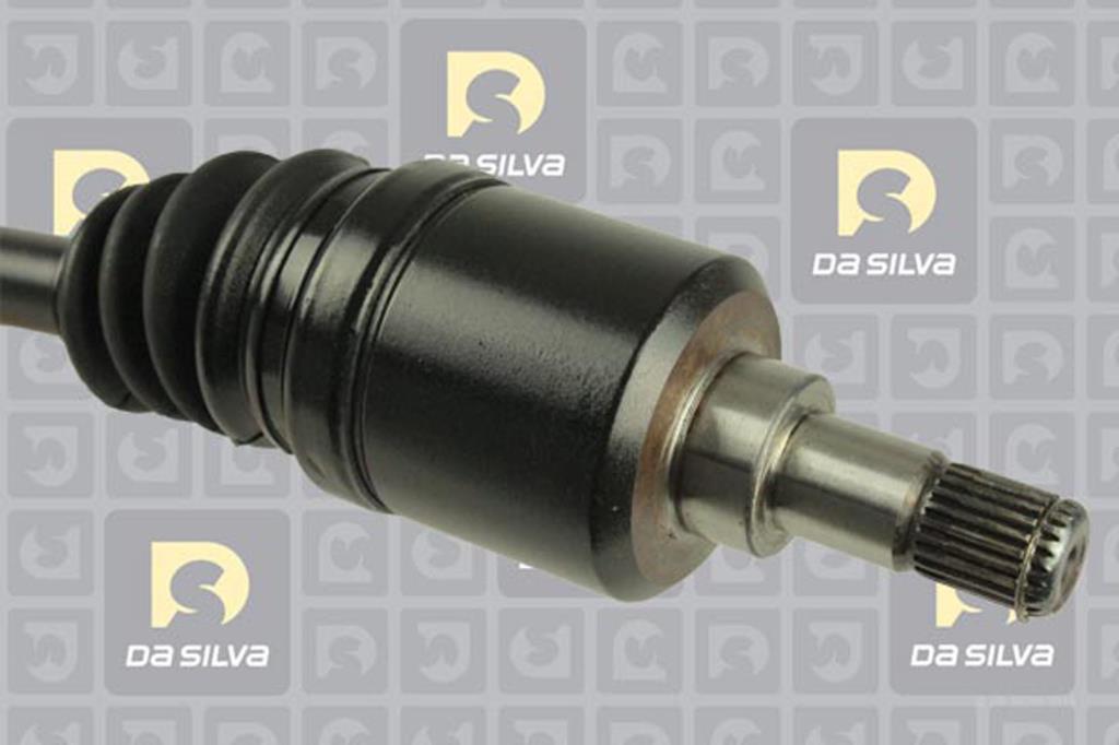 Cardan DA SILVA S.A.S. 311224AT