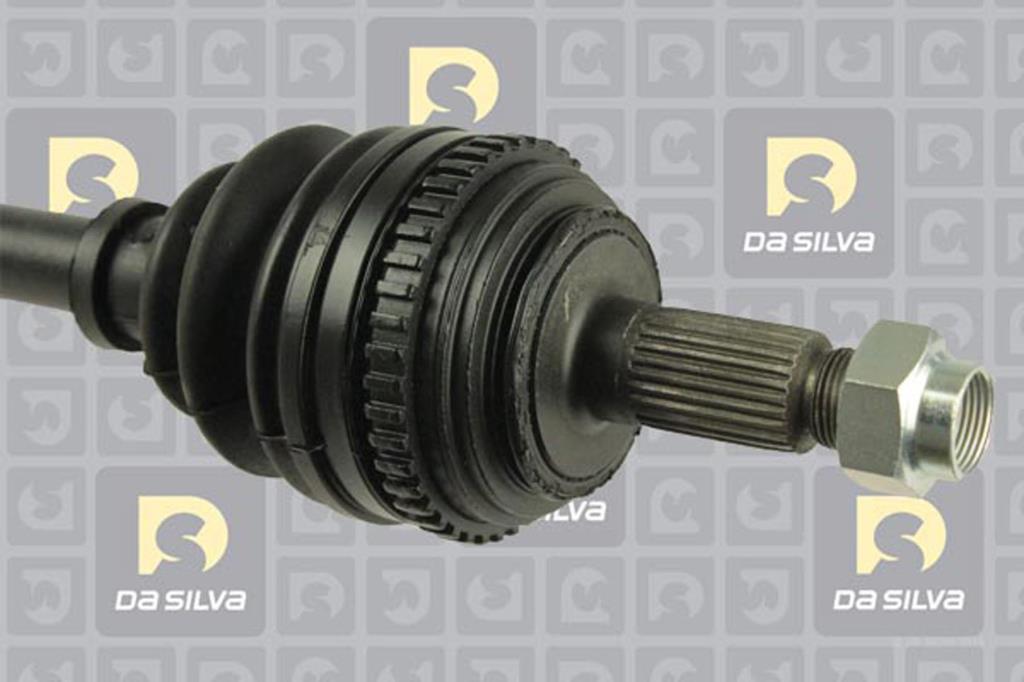 Cardan DA SILVA S.A.S. 311225AT