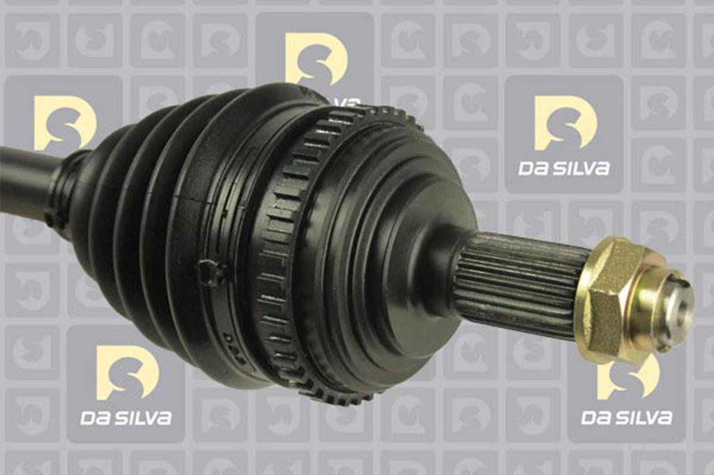 Cardan DA SILVA S.A.S. 311226AT