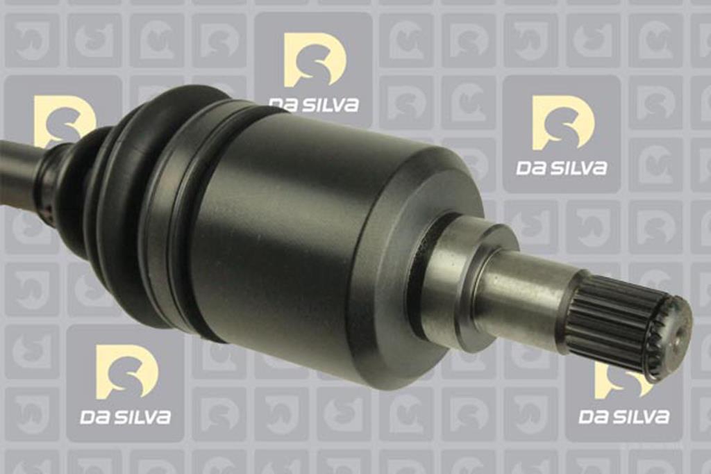 Cardan DA SILVA S.A.S. 311226AT