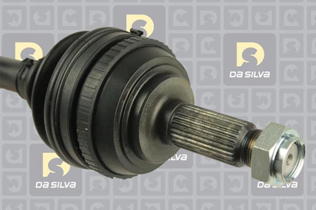 Cardã DA SILVA S.A.S. 311234AT