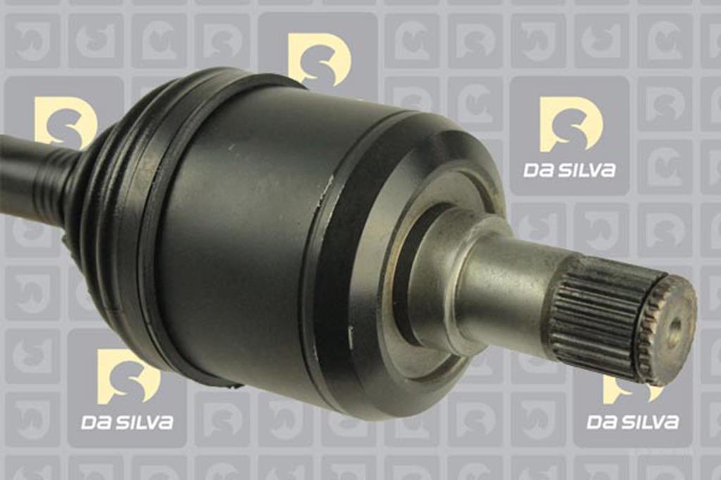 Cardã DA SILVA S.A.S. 311234AT