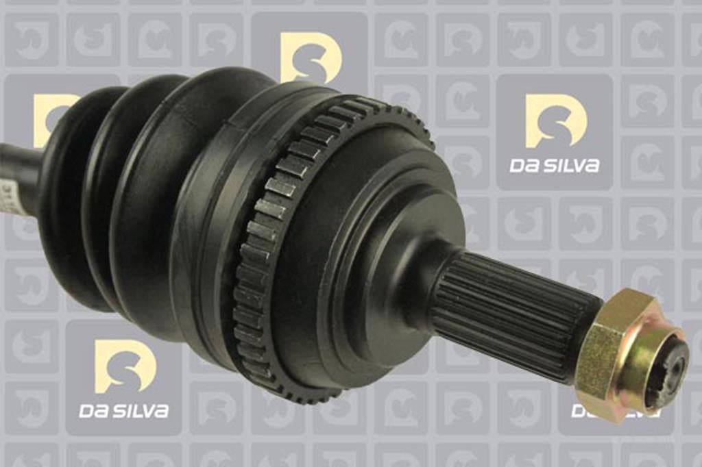 Cardã DA SILVA S.A.S. 311234BT