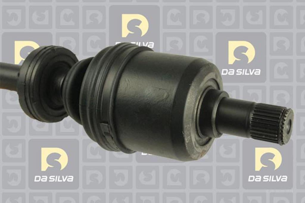 Cardã DA SILVA S.A.S. 311234BT