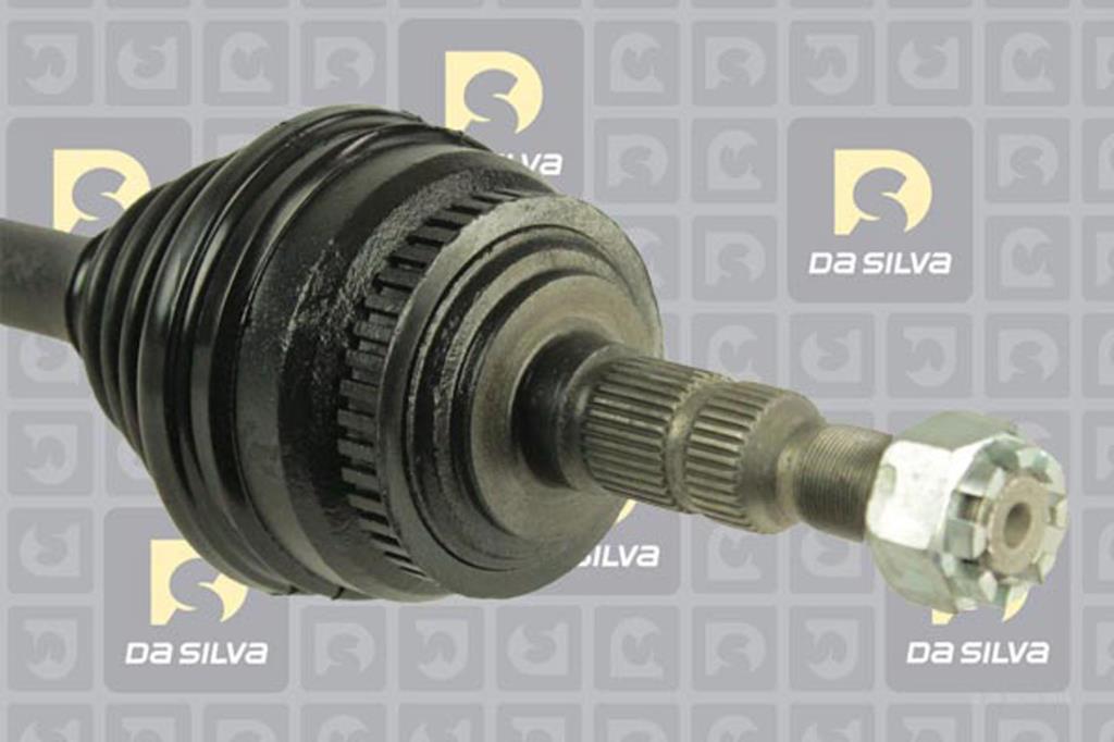 Cardã DA SILVA S.A.S. 31204AT