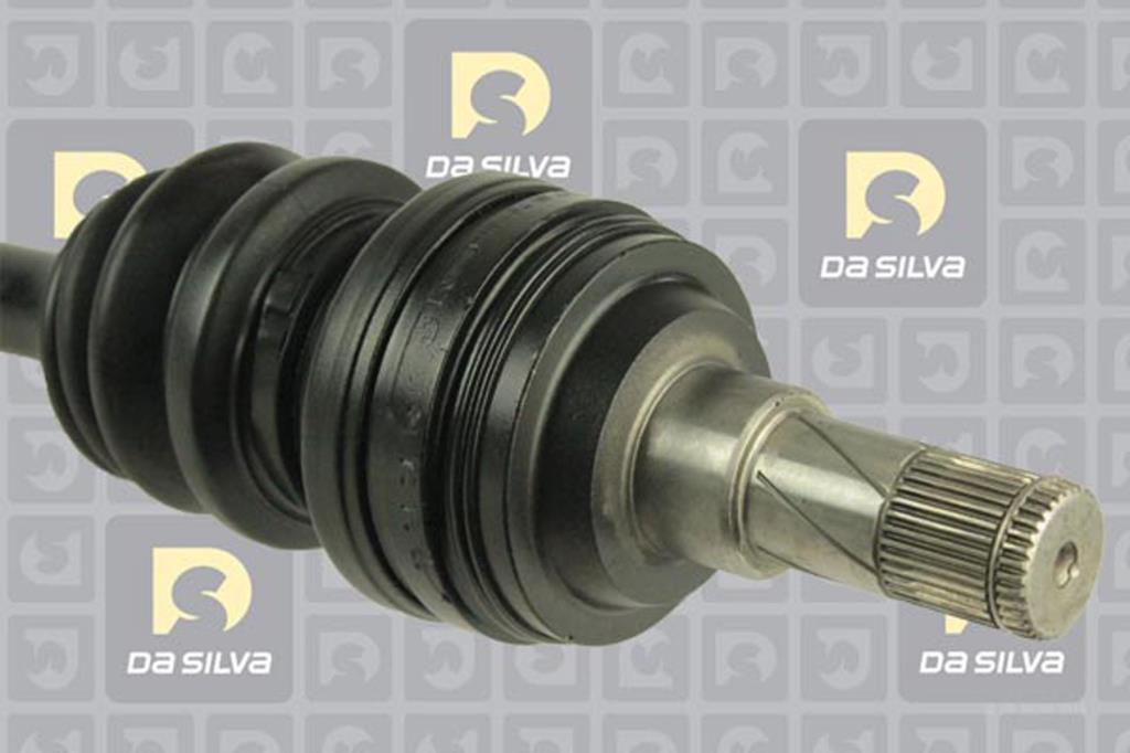 Cardã DA SILVA S.A.S. 31204AT