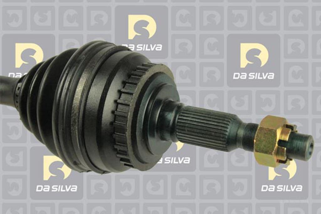 Cardan DA SILVA S.A.S. 31204BT