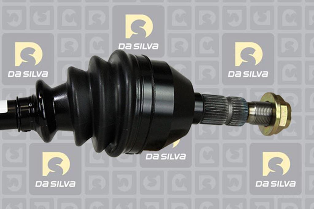 Cardan DA SILVA S.A.S. 31209T