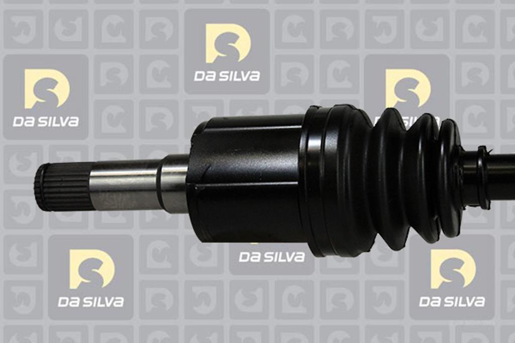 Cardan DA SILVA S.A.S. 31209T