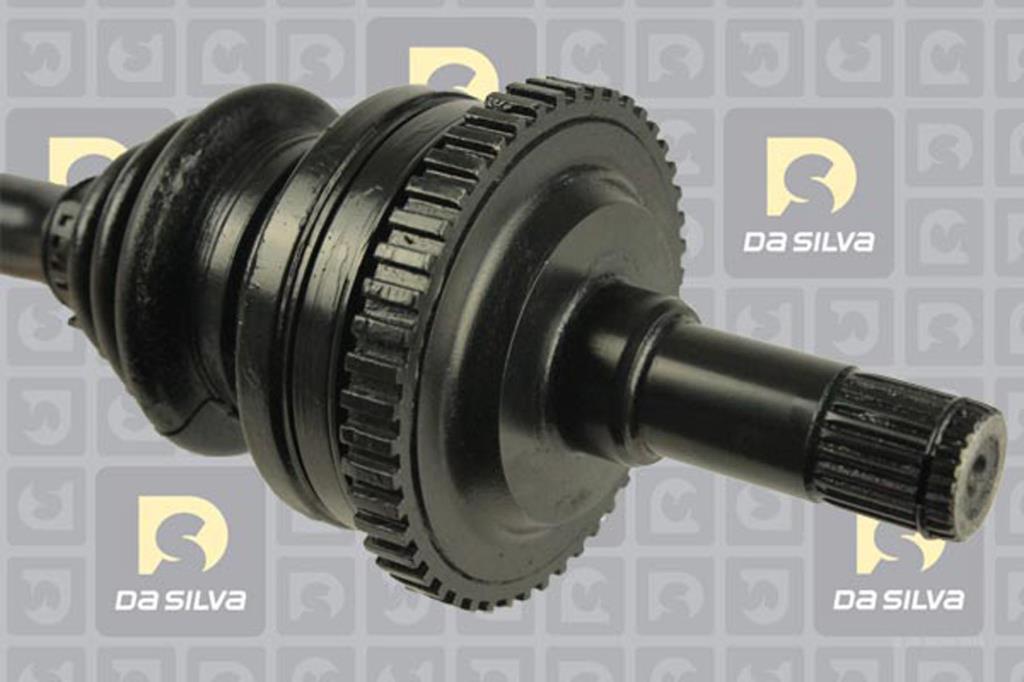 Cardan DA SILVA S.A.S. 31215AT
