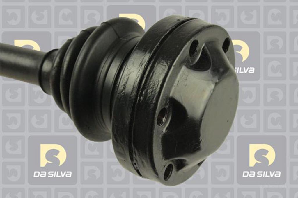 Cardan DA SILVA S.A.S. 31215AT
