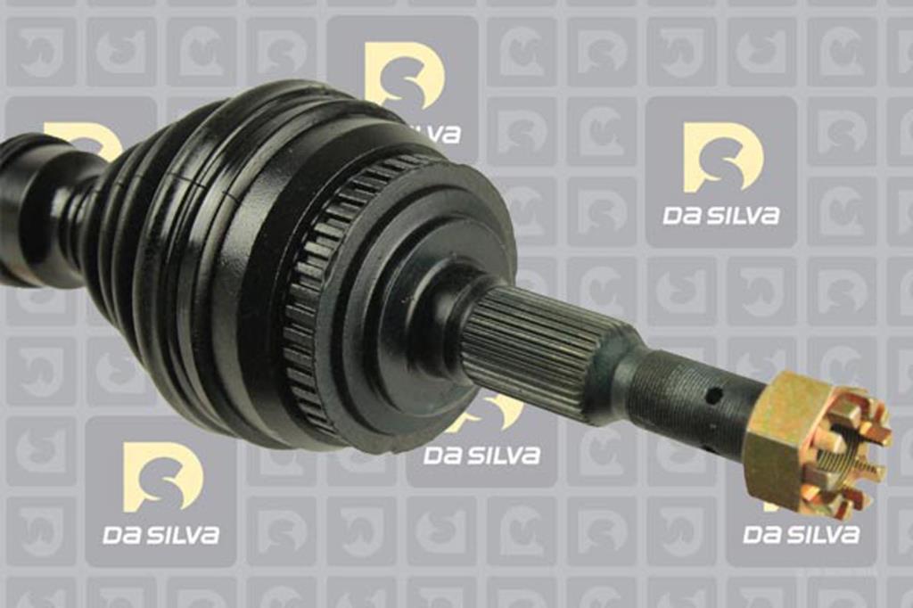 Cardan DA SILVA S.A.S. 31224AT