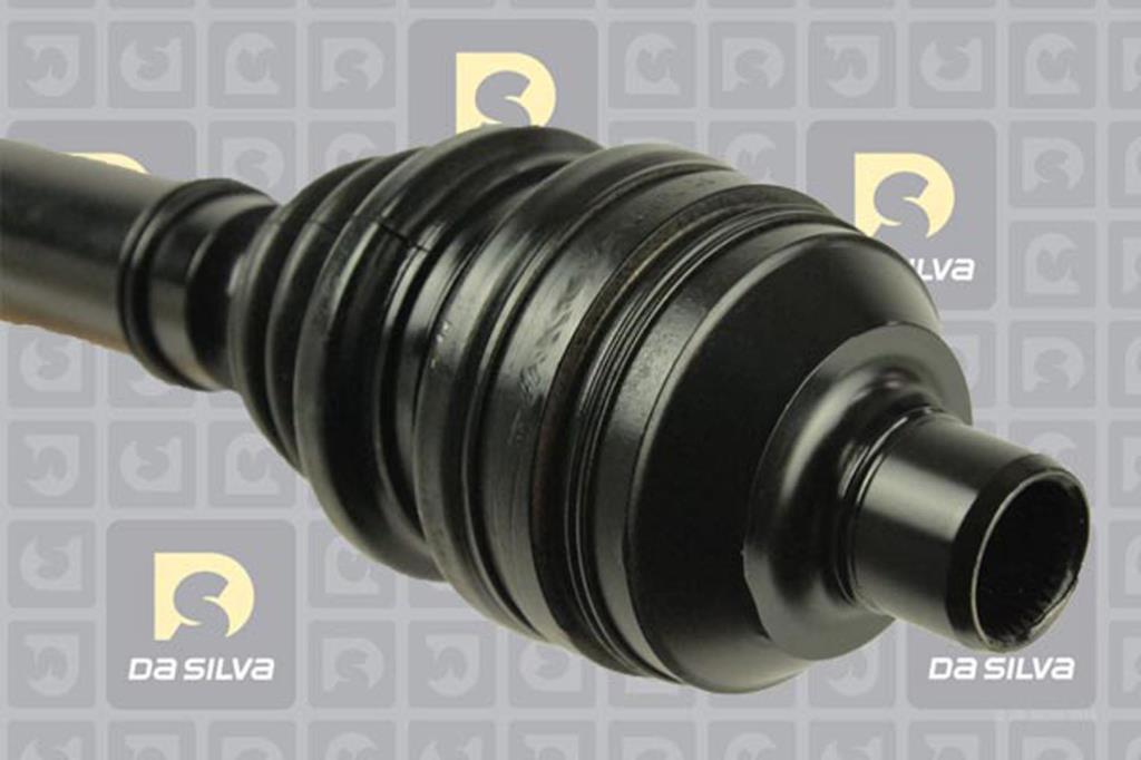 Cardan DA SILVA S.A.S. 31224AT