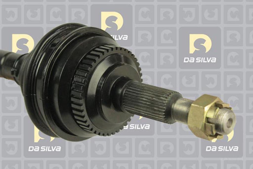 Cardan DA SILVA S.A.S. 31225AT