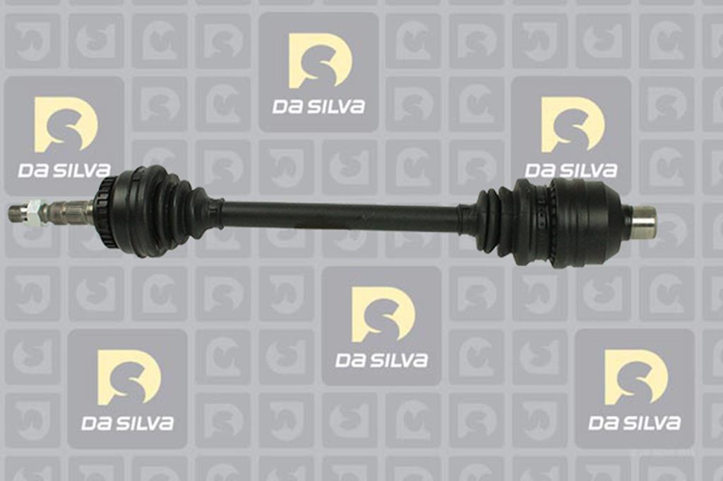 Cardã DA SILVA S.A.S. 31226BT