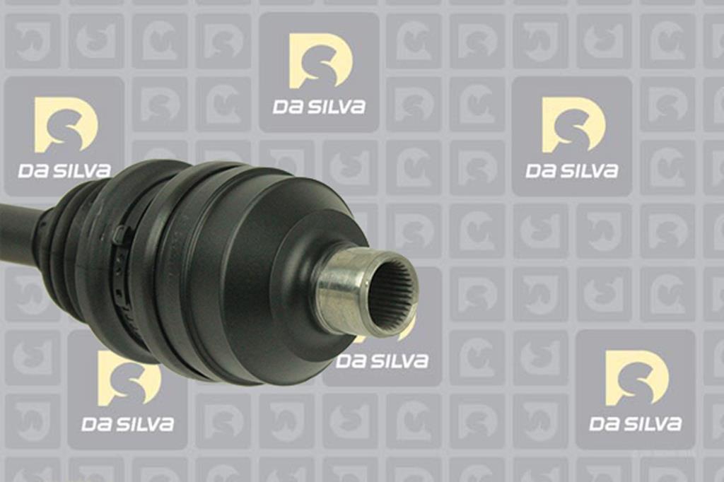 Cardã DA SILVA S.A.S. 31226BT