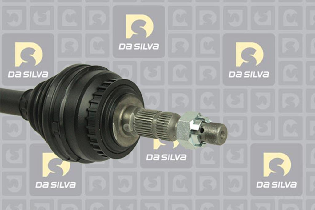 Cardã DA SILVA S.A.S. 31226BT