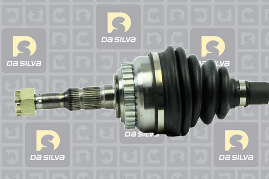 Cardan DA SILVA S.A.S. 31229BT
