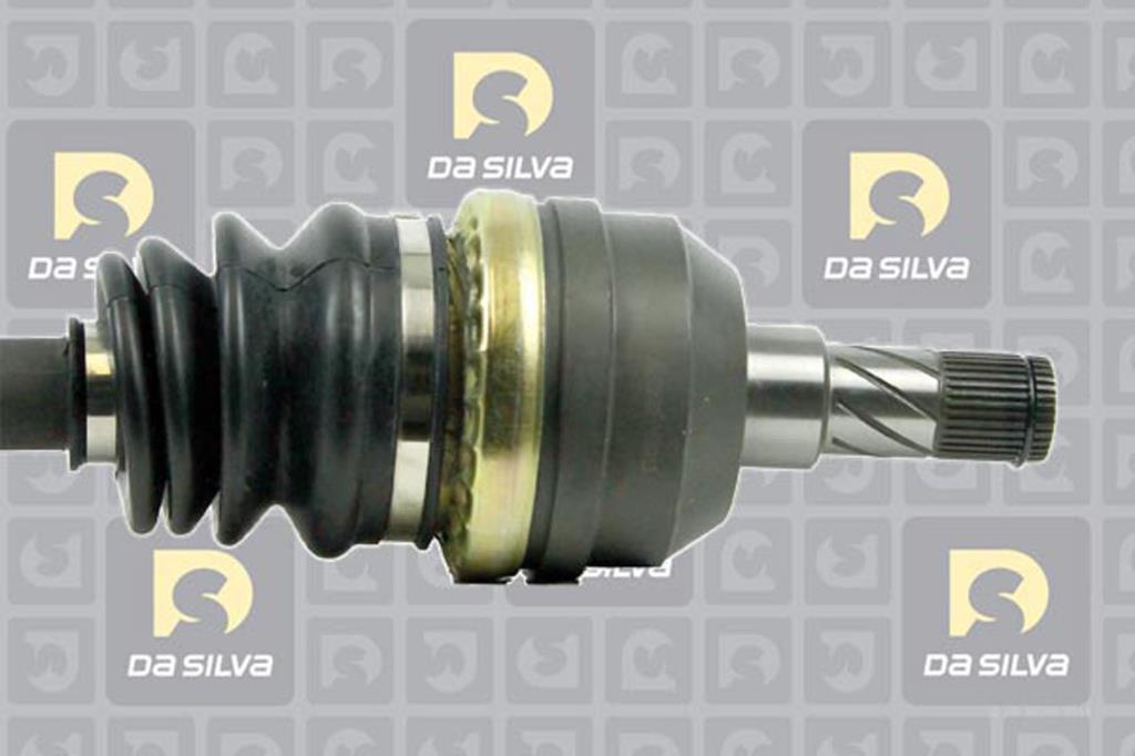 Cardan DA SILVA S.A.S. 31229BT