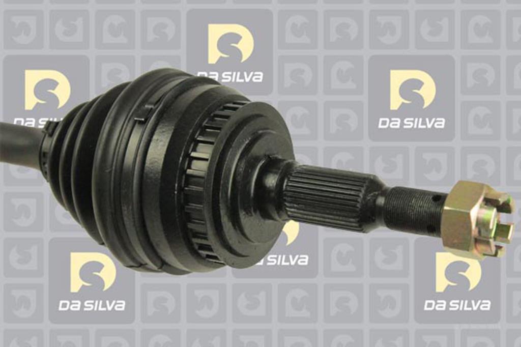 Cardan DA SILVA S.A.S. 31234BT