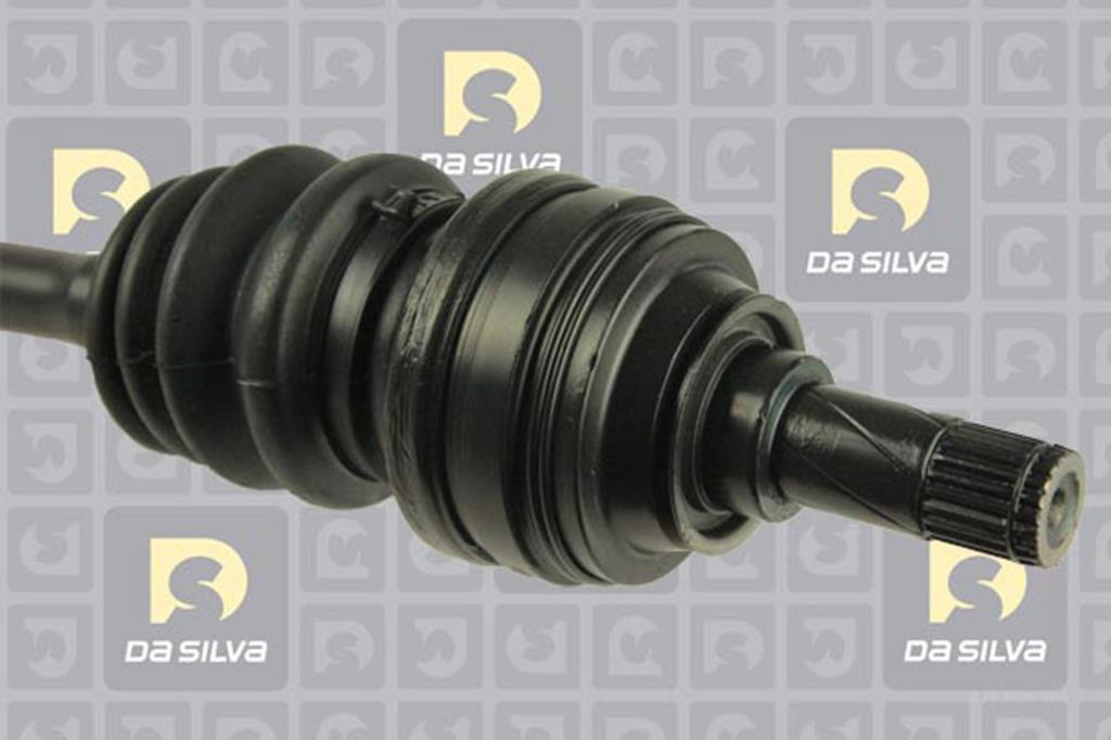 Cardan DA SILVA S.A.S. 31234BT