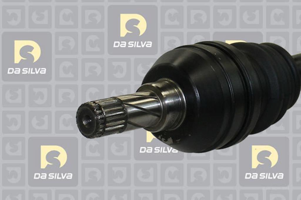 Cardã DA SILVA S.A.S. 31235AT