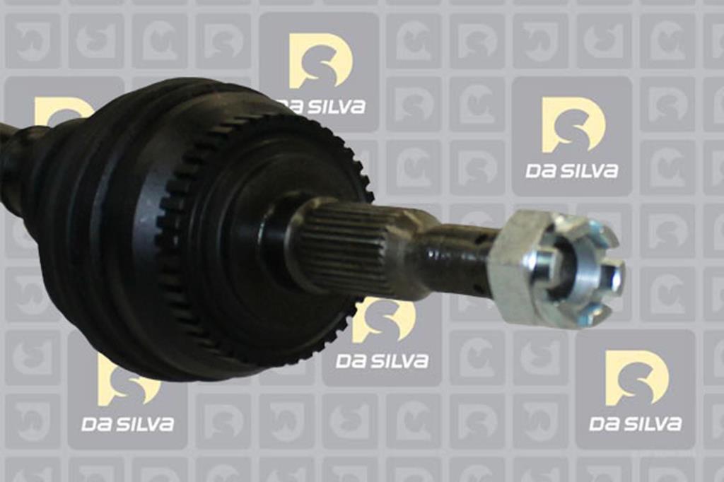 Cardã DA SILVA S.A.S. 31235AT