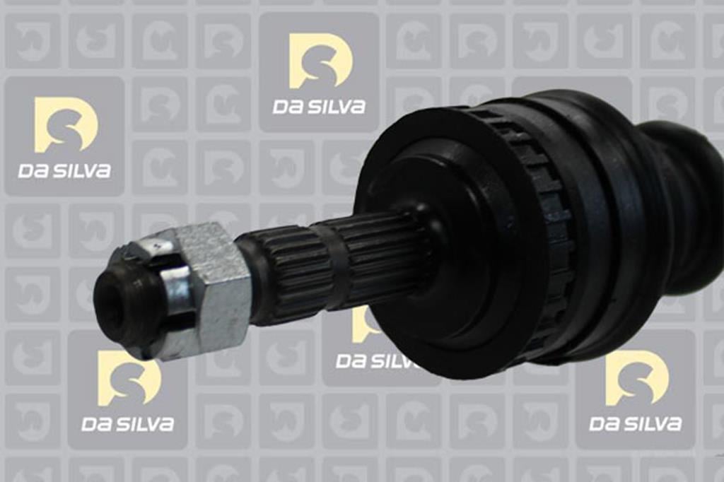 Cardan DA SILVA S.A.S. 31262AT