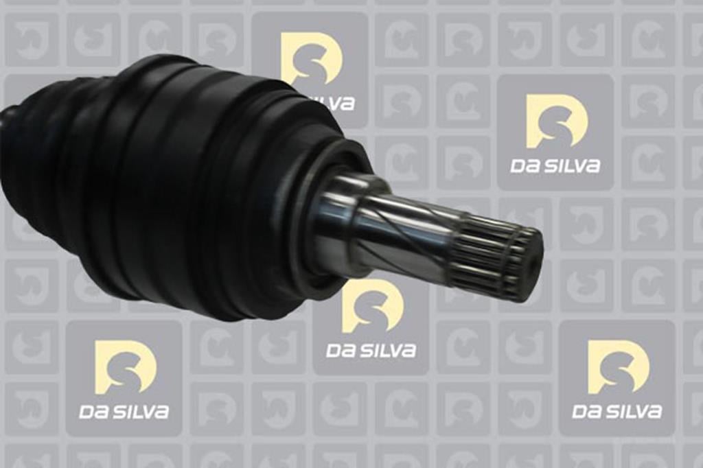 Cardan DA SILVA S.A.S. 31262AT